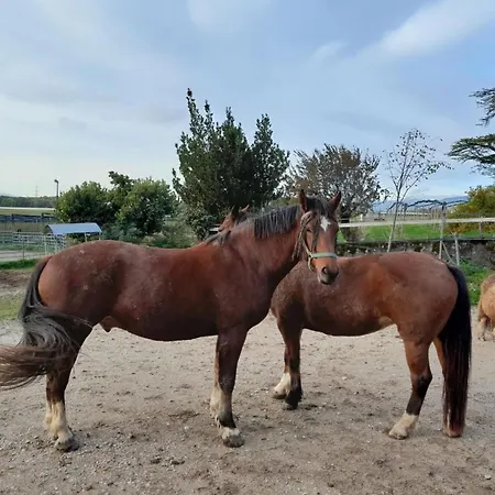 In Bauernhof By Interhome * Luins