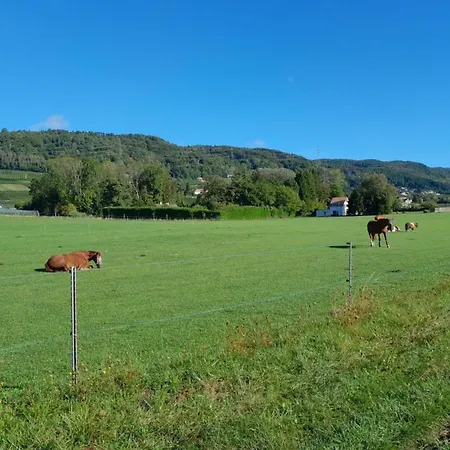 In Bauernhof By Interhome *