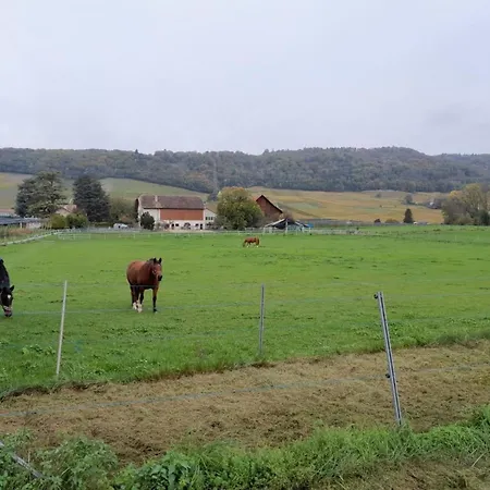 Apartamento In Bauernhof By Interhome Luins
