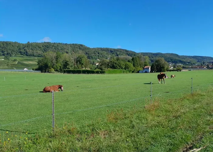 In Bauernhof By Interhome *