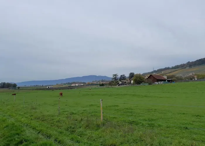 Apartamento In Bauernhof By Interhome *