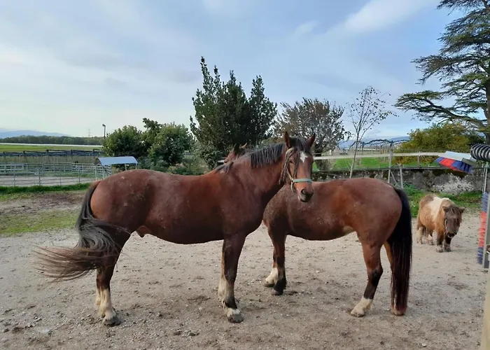 In Bauernhof By Interhome * Luins