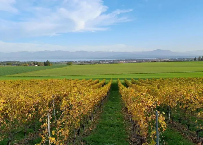 Apartamento In Bauernhof By Interhome